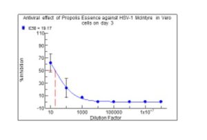 Antiviral Effect of Propolis against Herpes